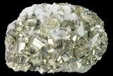 Pyrite and Quartz Crystal Association - Peru #142652-1